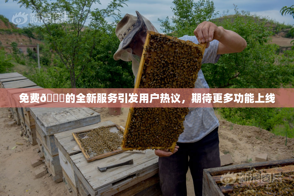 免费🔞的全新服务引发用户热议，期待更多功能上线