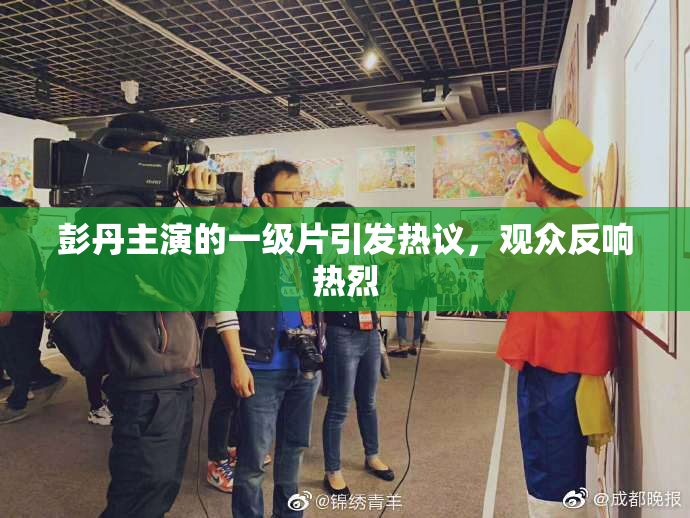 彭丹主演的一级片引发热议，观众反响热烈