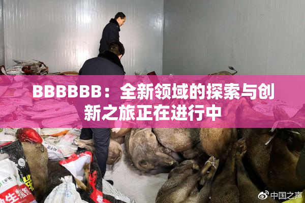 BBBBBB：全新领域的探索与创新之旅正在进行中