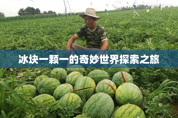 冰块一颗一的奇妙世界探索之旅