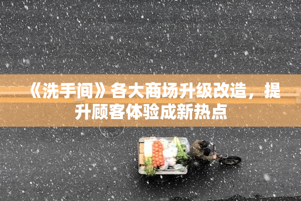 《洗手间》各大商场升级改造，提升顾客体验成新热点