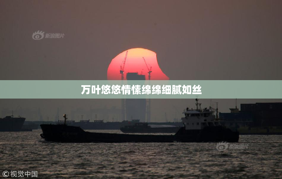 万叶悠悠情愫绵绵细腻如丝