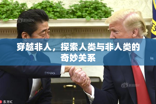 穿越非人，探索人类与非人类的奇妙关系