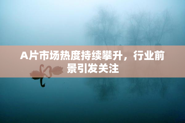 A片市场热度持续攀升，行业前景引发关注