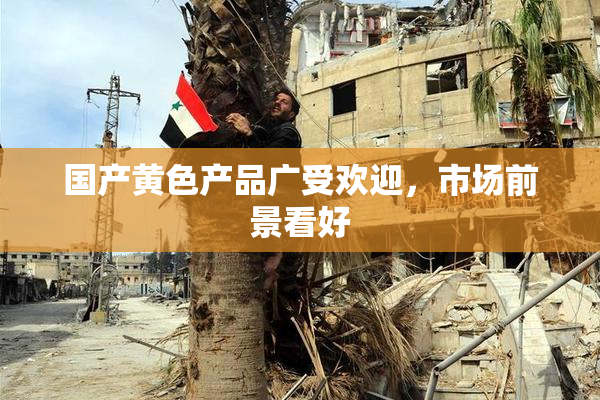 国产黄色产品广受欢迎，市场前景看好