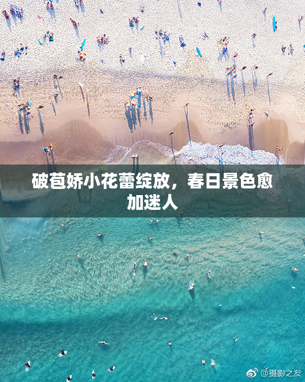 破苞娇小花蕾绽放，春日景色愈加迷人