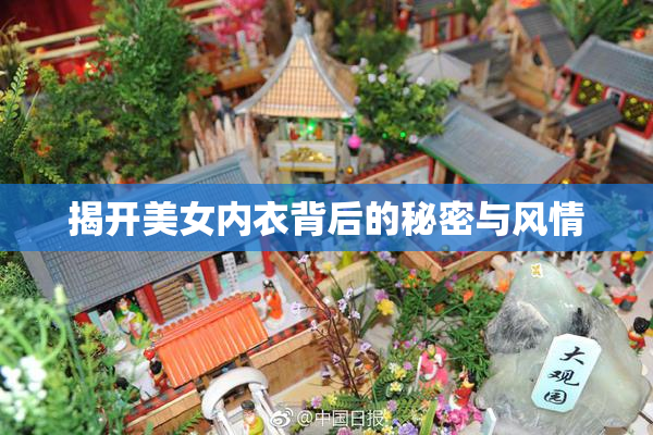 揭开美女内衣背后的秘密与风情