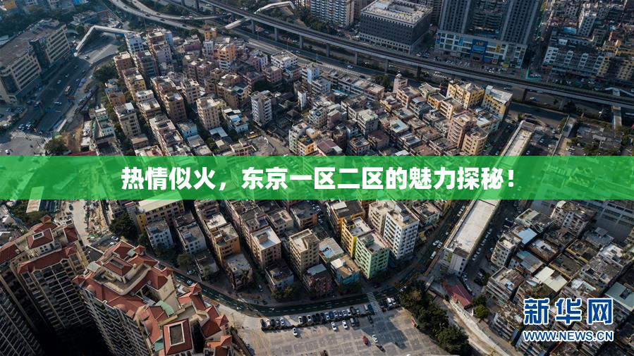 热情似火，东京一区二区的魅力探秘！