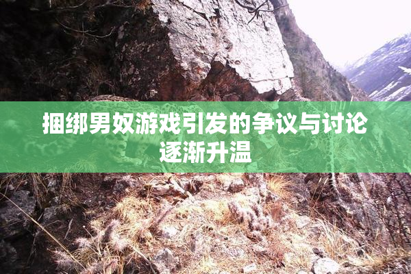 捆绑男奴游戏引发的争议与讨论逐渐升温