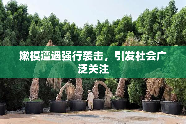 嫩模遭遇强行袭击，引发社会广泛关注