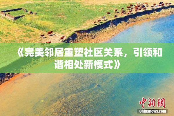 《完美邻居重塑社区关系，引领和谐相处新模式》