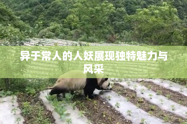 异于常人的人妖展现独特魅力与风采