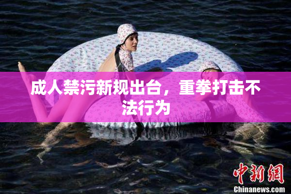 成人禁污新规出台，重拳打击不法行为