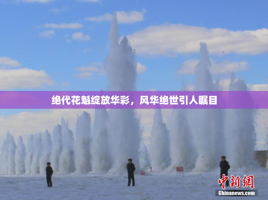绝代花魁绽放华彩，风华绝世引人瞩目
