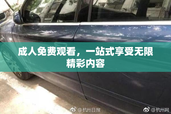 成人免费观看，一站式享受无限精彩内容
