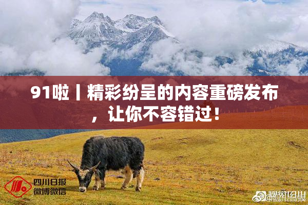 91啦丨精彩纷呈的内容重磅发布，让你不容错过！