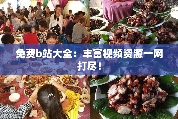 免费b站大全：丰富视频资源一网打尽！