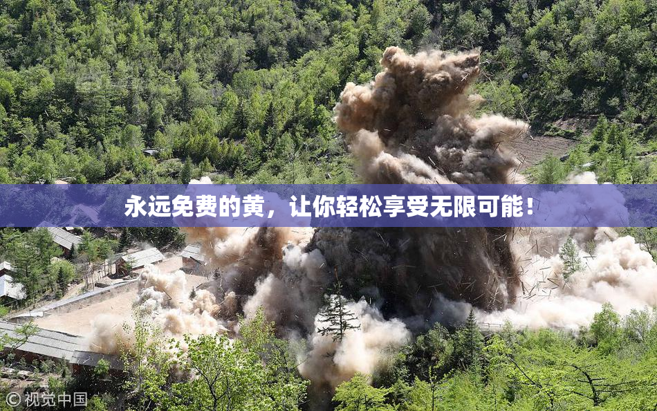 永远免费的黄，让你轻松享受无限可能！