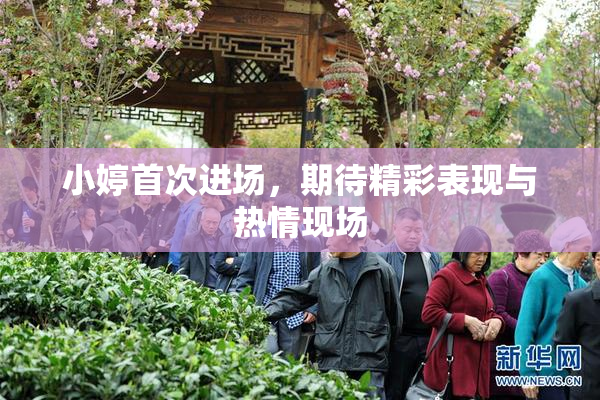 小婷首次进场，期待精彩表现与热情现场