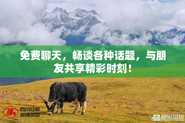 免费聊天，畅谈各种话题，与朋友共享精彩时刻！