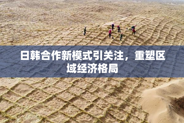日韩合作新模式引关注，重塑区域经济格局