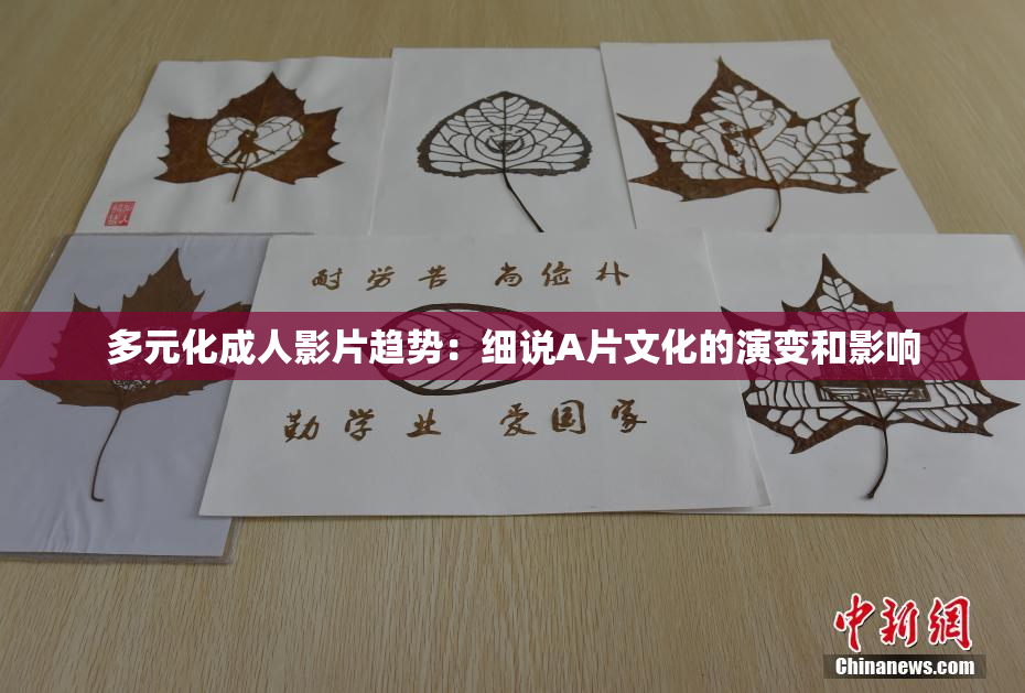 多元化成人影片趋势：细说A片文化的演变和影响