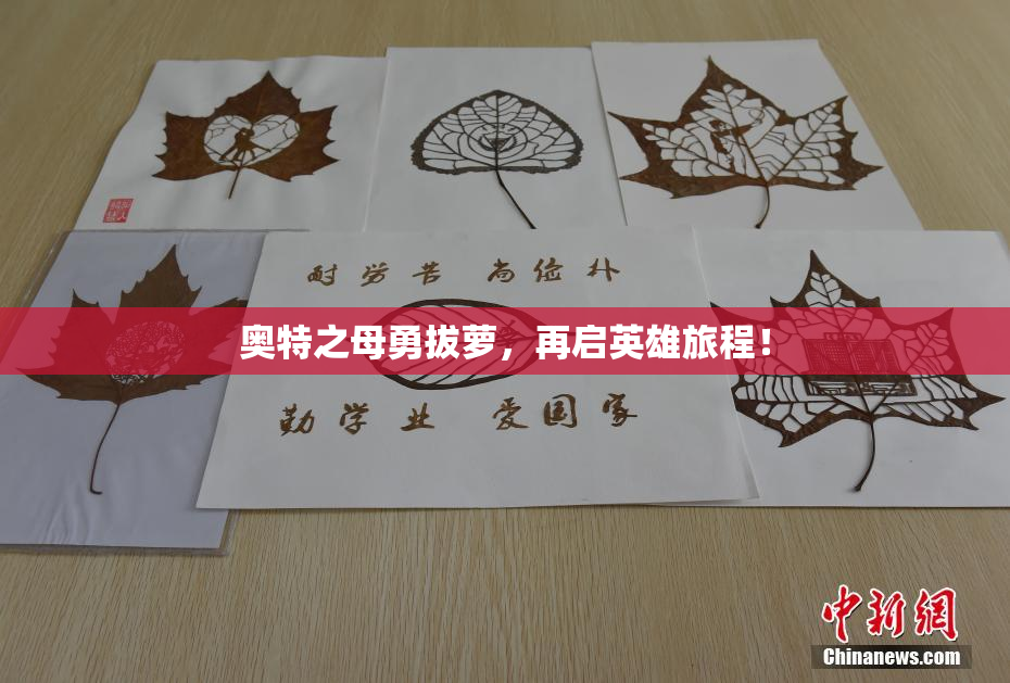 奥特之母勇拔萝，再启英雄旅程！