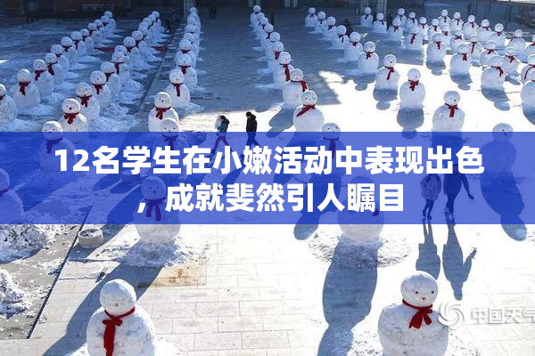12名学生在小嫩活动中表现出色，成就斐然引人瞩目