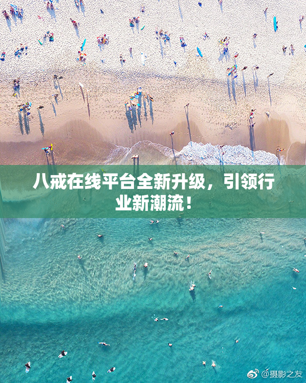 八戒在线平台全新升级，引领行业新潮流！