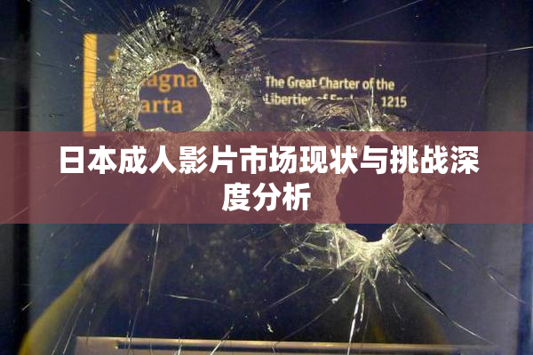 日本成人影片市场现状与挑战深度分析