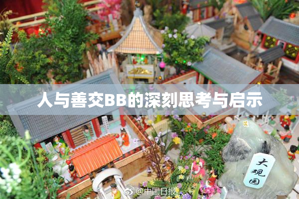 人与善交BB的深刻思考与启示