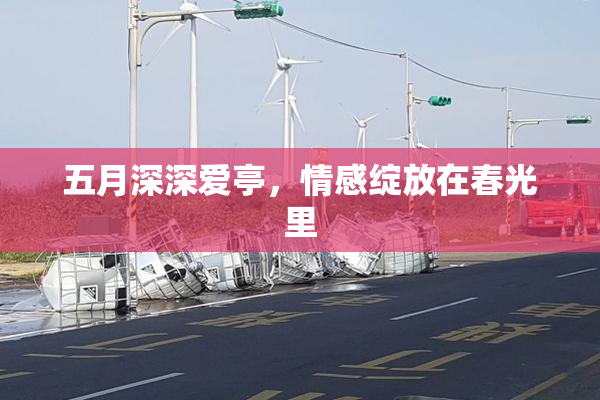 五月深深爱亭，情感绽放在春光里