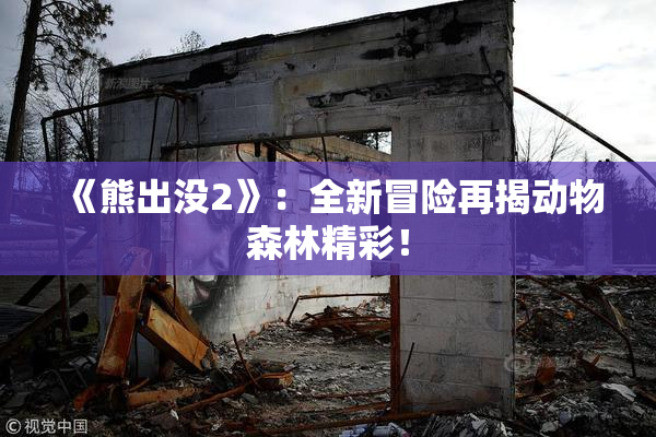 《熊出没2》：全新冒险再揭动物森林精彩！