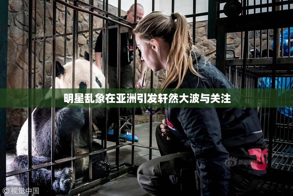 明星乱象在亚洲引发轩然大波与关注