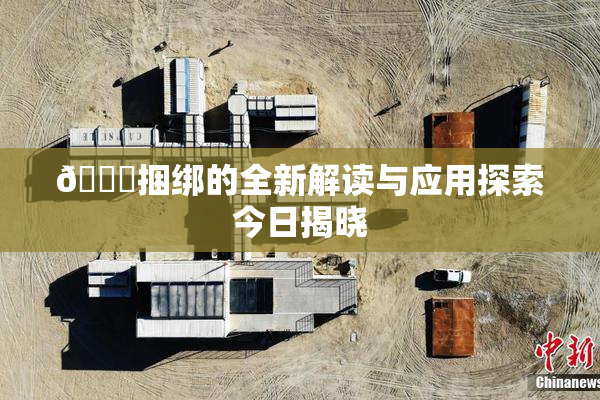 🔞捆绑的全新解读与应用探索今日揭晓