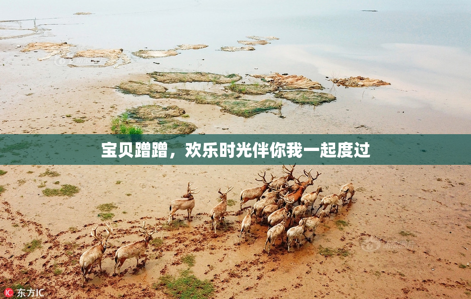 宝贝蹭蹭，欢乐时光伴你我一起度过