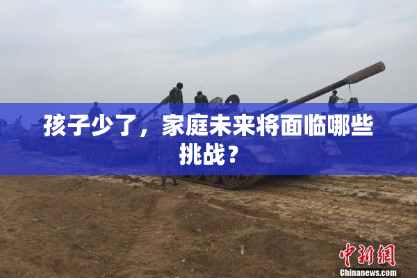 孩子少了，家庭未来将面临哪些挑战？