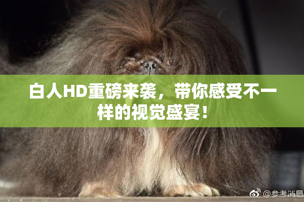 白人HD重磅来袭，带你感受不一样的视觉盛宴！