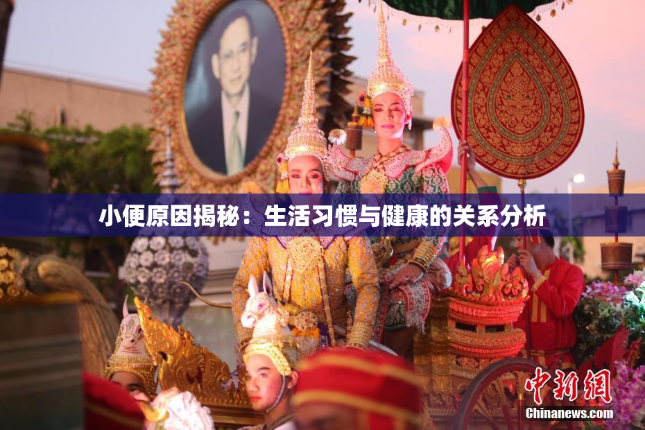 小便原因揭秘：生活习惯与健康的关系分析