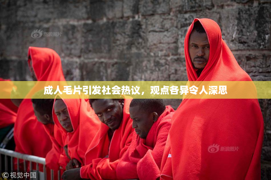 成人毛片引发社会热议，观点各异令人深思