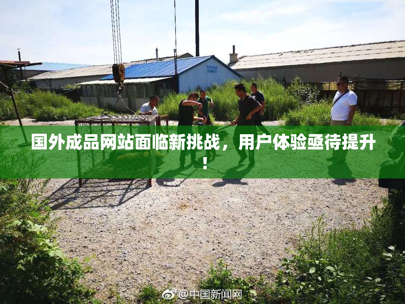 国外成品网站面临新挑战，用户体验亟待提升！