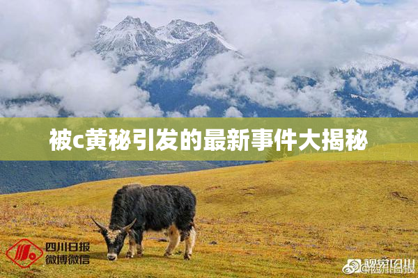 被c黄秘引发的最新事件大揭秘