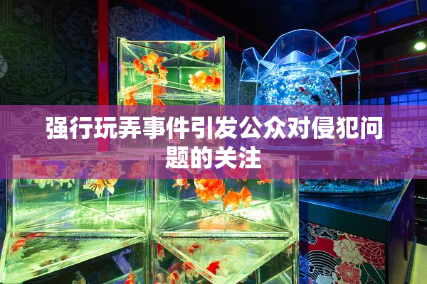 强行玩弄事件引发公众对侵犯问题的关注