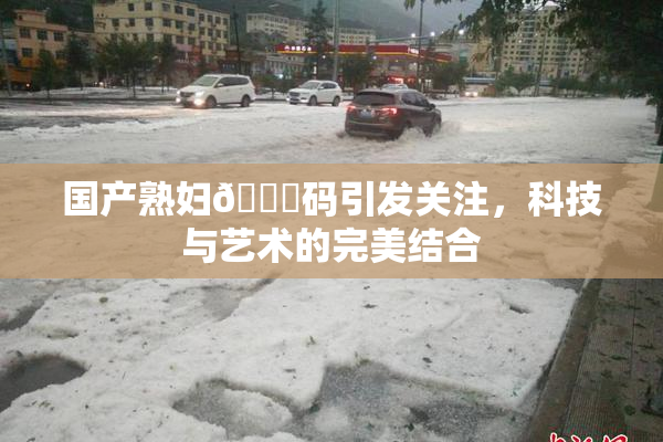 国产熟妇🈚码引发关注，科技与艺术的完美结合