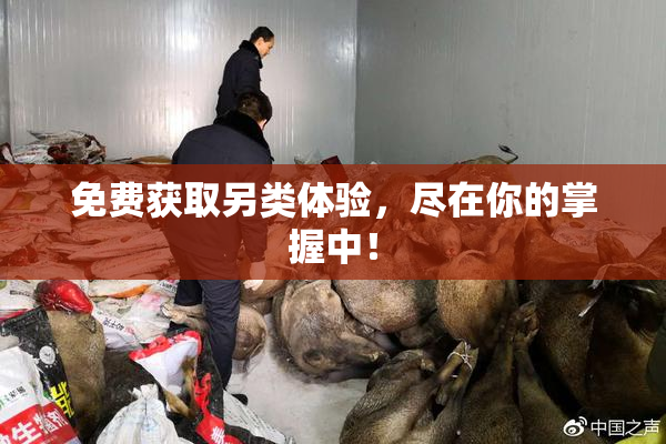 免费获取另类体验，尽在你的掌握中！