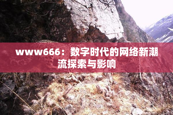www666：数字时代的网络新潮流探索与影响