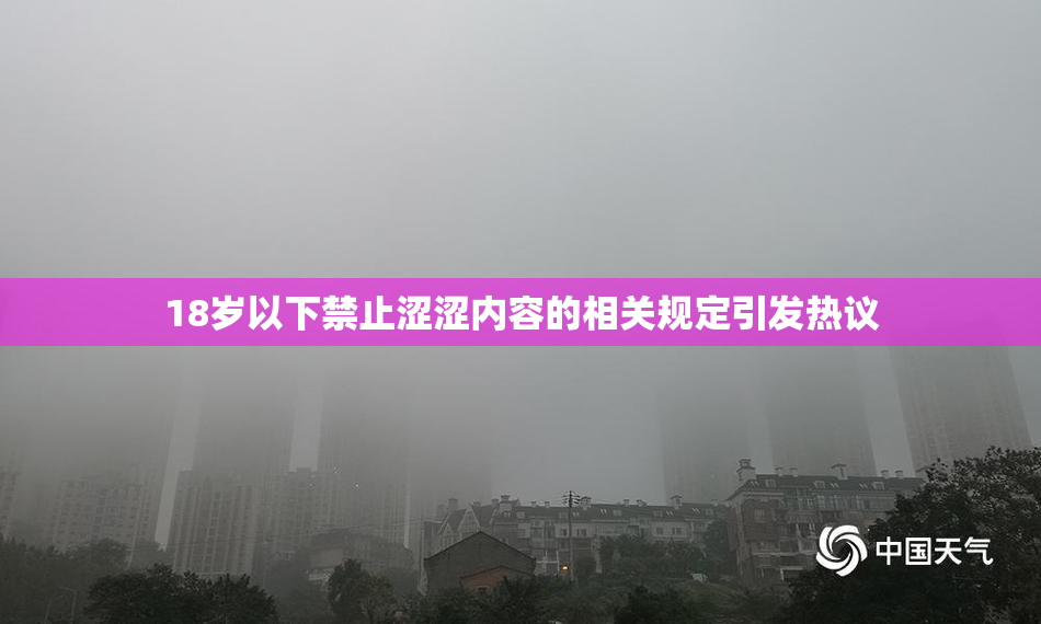 18岁以下禁止涩涩内容的相关规定引发热议