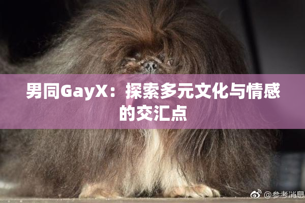男同GayX：探索多元文化与情感的交汇点