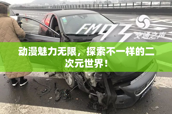 动漫魅力无限，探索不一样的二次元世界！
