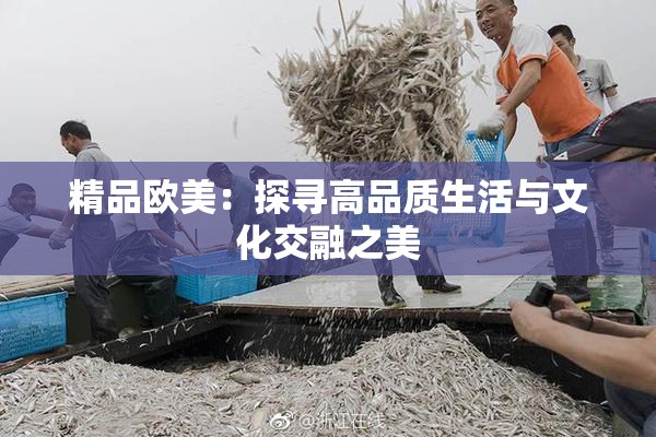 精品欧美：探寻高品质生活与文化交融之美